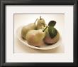 Anjou Pears by Julie Greenwood Limited Edition Print