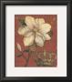 Magnolia Recollection by Regina-Andrew Design Limited Edition Pricing Art Print