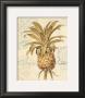 Artist's Pineapple by Chad Barrett Limited Edition Print