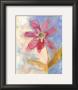 Whimsical Flower Ii by Robbin Rawlings Limited Edition Print