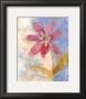 Whimsical Flower Ii by Robbin Rawlings Limited Edition Print