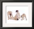 Puppies And Kittens Iii by D. Patrian Limited Edition Print