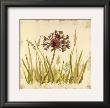 Meadow Grasses by Bella Dos Santos Limited Edition Pricing Art Print