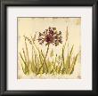 Meadow Grasses by Bella Dos Santos Limited Edition Print