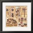 Chocolate Display I by Maret Hensick Limited Edition Print