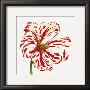 Red And White Flower by Miriam Bedia Limited Edition Pricing Art Print