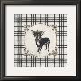 Plaid Chihuahua by Stefania Ferri Limited Edition Print