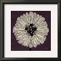 Chic Paper Flower by Debbie Halliday Limited Edition Print