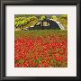 La 2 Cv Aux Coquelicots by Julien Lautier Limited Edition Print