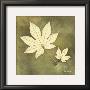 Maple Leaf by Alexandra Bex Limited Edition Print
