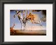 The Temptation Of St. Anthony, C.1946 by Salvador Dali Limited Edition Print