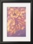 Elemental Ballet Fire by Jonathon E. Bowser Limited Edition Pricing Art Print