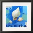 Shells Of Time Ii by Adriana Limited Edition Print