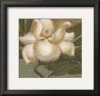 Spring Magnolia I by Cooper Limited Edition Print