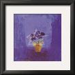 Dark Pansies by Mcarthur Limited Edition Print
