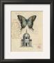 Butterfly Etching by Chad Barrett Limited Edition Pricing Art Print