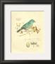 Gilded Songbird I by Chad Barrett Limited Edition Print