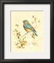 Gilded Songbird Iv by Chad Barrett Limited Edition Print