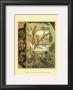 Autumn's Bounty Iii by Jennifer Goldberger Limited Edition Pricing Art Print