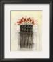 Black And White Roses Ii by Marilyn Robertson Limited Edition Print
