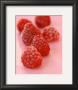 Sweet Raspberries by Sara Deluca Limited Edition Pricing Art Print
