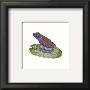 Frog Display 6 by Consuelo Gamboa Limited Edition Pricing Art Print