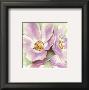 Wild Violet Roses by Arkadiusz Warminski Limited Edition Print