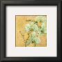 Splendido Orchidea by Matina Theodosiou Limited Edition Print