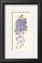 Hydrangea Bouquet by Tribou Limited Edition Print