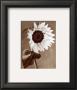Sunflowers by Dick & Diane Stefanich Limited Edition Print