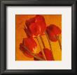 Red And Gold Ii by Amy Melious Limited Edition Print