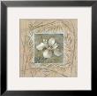 Spa Iris by Elaine Vollherbst-Lane Limited Edition Print