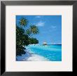 Tropical Paradise Ii by Steve Thoms Limited Edition Print