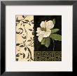 Negro Y Blanco Simplicidad I by Charlene Winter Olson Limited Edition Print