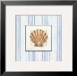 Sanibel Shell I by Avery Tillmon Limited Edition Print