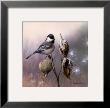 Chickadee And Milkweed by Russ Cobane Limited Edition Print