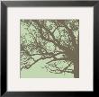 Winter Tree Iii by Erin Clark Limited Edition Print