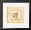 Wheat by Jerianne Van Dijk Limited Edition Print