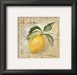 Le Citron by Silvia Vassileva Limited Edition Print