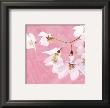 Pastel Blossoms Iii by Kate Knight Limited Edition Pricing Art Print