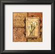 Tuscan 4 Patch: If God Brings You To It by Debbie Dewitt Limited Edition Print
