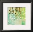 Reflections: Calm by Jessica Vonammon Limited Edition Pricing Art Print