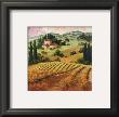 Dawn Of A Tuscan Vineyard by Eva Szorc Limited Edition Print