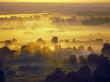 Sun Rise Over The Bryansk Forest, Bryansky Les Zapovednik, Russia by Igor Shpilenok Limited Edition Print