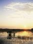 Red Mangrove Trees (Rhizophora Mangle) At Sunset, Everglades National Park, Florida by Jurgen Freund Limited Edition Print