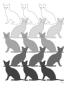 Black Cats by Avalisa Limited Edition Pricing Art Print