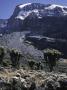 Desert Landscape With Mountain View, Kilimanjaro by Michael Brown Limited Edition Pricing Art Print