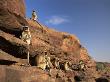 Hanuman Langur Group Sunning, Thar Desert, Rajasthan, India by Jean-Pierre Zwaenepoel Limited Edition Print