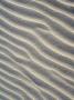 Ripples In The Sand, Belgium by Philippe Clement Limited Edition Print