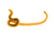 Centipede Spain by Niall Benvie Limited Edition Pricing Art Print